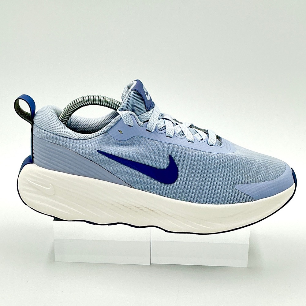 Nike Promina‎ Womens Size 8.5 Walking Shoes Ashen Slate Blue FV6343-008